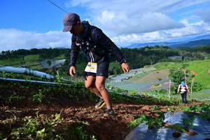 BIB: 
                            <button type="button" onclick="openModal(13381478)" class="btn btn-primary btn-sm float-right btn-popup" data-toggle="modal" data-target=".modal-high-quality">
                        <i class="fas fa-shopping-cart"></i> Add to Cart
                    </button>
                                            <button type="button" onclick="isThisMe(13381478, true)" class="btn btn-success btn-sm float-right btn-popup btn-isme hidden" data-toggle="tooltip" data-placement="bottom" title="นี่คือรูปของคุณใช่ไหม คลิกที่นี่เพื่อเอาเข้าอัลบั้ม">
                        <i class="fas fa-plus"></i> Add to album
                    </button>
                    <button type="button" onclick="isThisMe(13381478, false)" class="btn btn-warning btn-sm float-right btn-popup btn-isnotme hidden">
                        <i class="fas fa-ban"></i> Remove from album
                    </button>